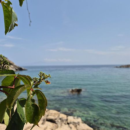 Beach Apartment PalaiónTsiflíkion 외부 사진